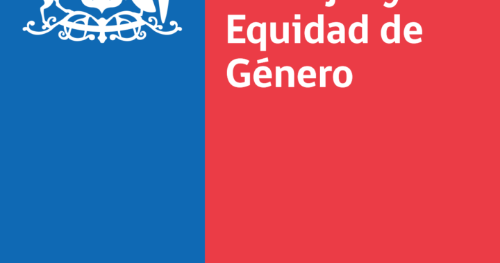 Ministerio justifica salida de directora del SernamEG tras severas observaciones en auditoría