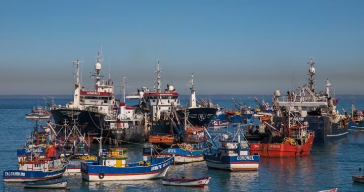 Crisis del jurel golpea al Biobío: capturas apenas alcanzan el 28% y flota industrial paralizada