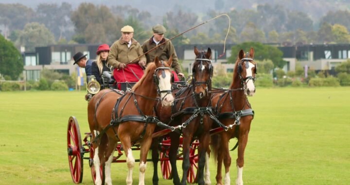 Zapallar se llena de cultura y tradición con concierto de piano y concurso de enganche ecuestre durante el fin de semana largo