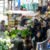 Quilpué intensifica controles de seguridad en Feria El Belloto con más de 150 acciones preventivas